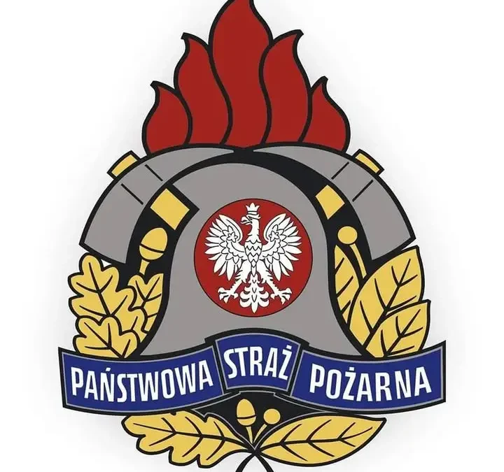 Wielka Gra Terenowa Młodzieżowych Drużyn Pożarniczych w Ośrodku Krystyna