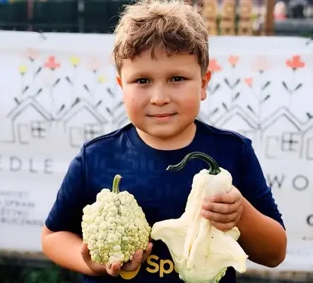 Ziemniaczane zakończenie lata na Osiedlu Kwiatowym w Wołczynie