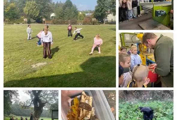 Klasa 2a z Kluczborka na leśnej wyprawie — grzybobranie i ognisko